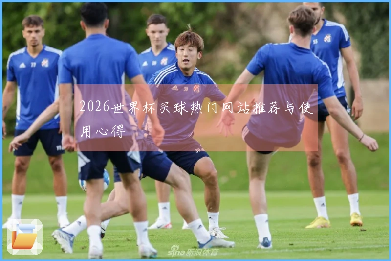 2026世界杯买球热门网站推荐与使用心得