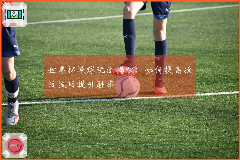 世界杯滚球玩法揭秘：如何提高投注技巧提升胜率