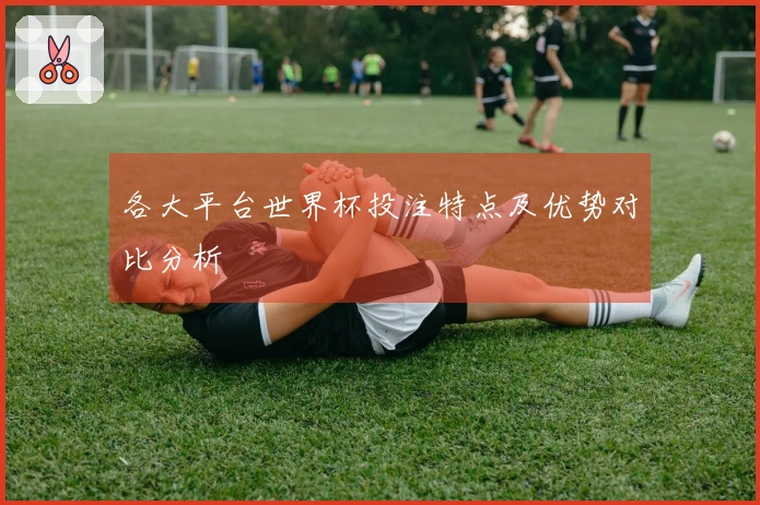 各大平台世界杯投注特点及优势对比分析