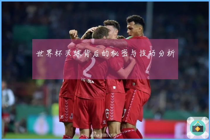 世界杯买球背后的秘密与技巧分析