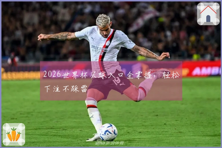 2026世界杯买球入口全掌握,轻松下注不踩雷
