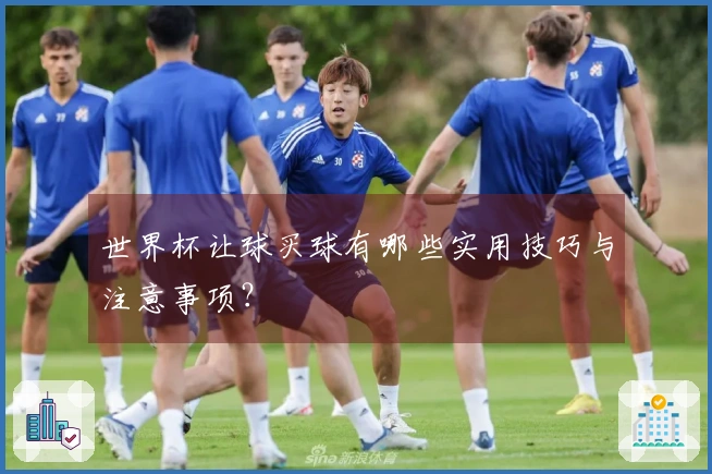 世界杯让球买球有哪些实用技巧与注意事项？