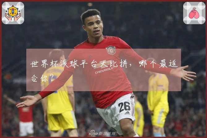 世界杯滚球平台大比拼，哪个最适合你？