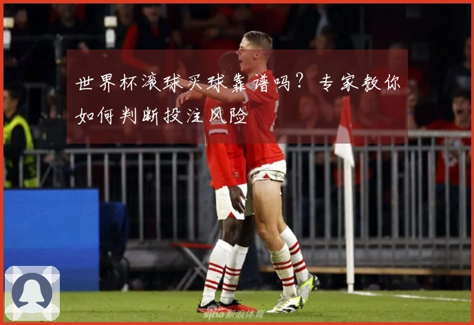 世界杯滚球买球靠谱吗？专家教你如何判断投注风险