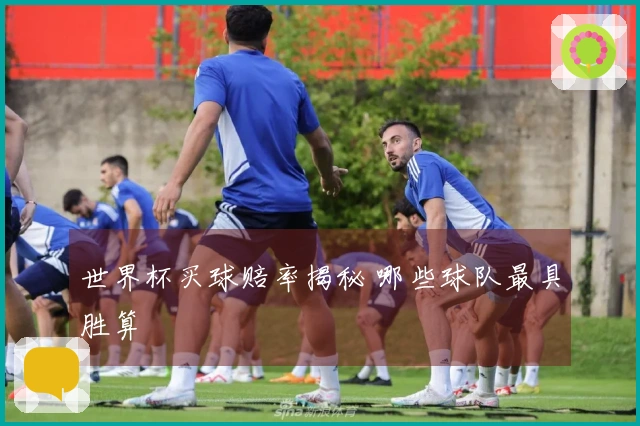 世界杯买球赔率揭秘 哪些球队最具胜算