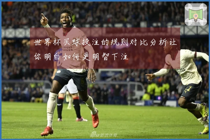 世界杯买球投注的规则对比分析让你明白如何更明智下注