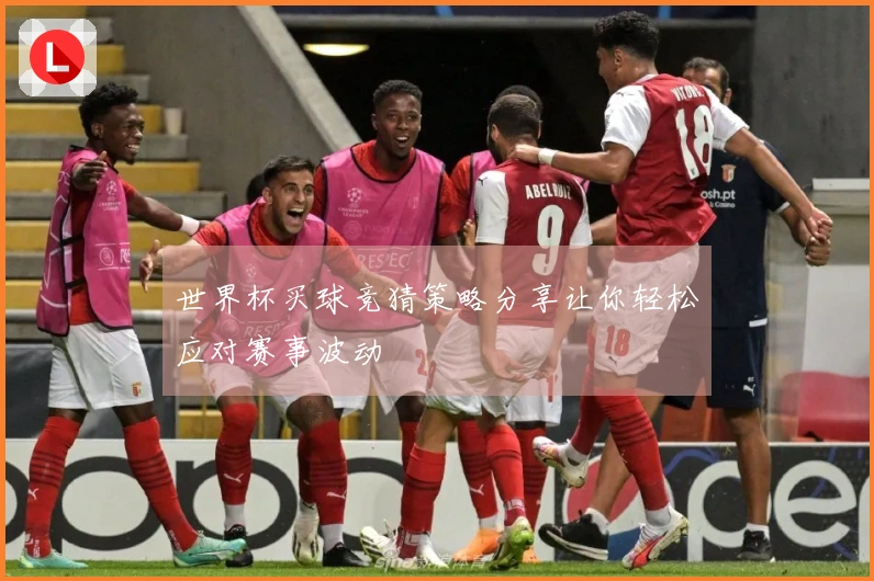 世界杯买球竞猜策略分享让你轻松应对赛事波动