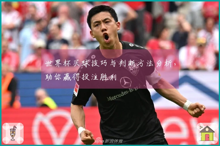 世界杯买球技巧与判断方法分析，助你赢得投注胜利