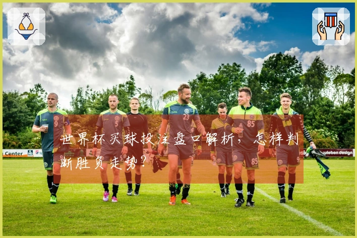 世界杯买球投注盘口解析，怎样判断胜负走势？