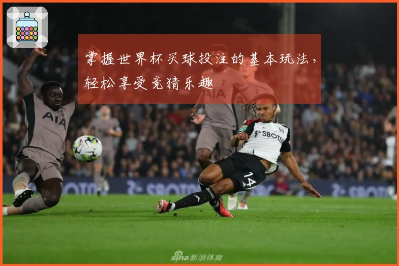 掌握世界杯买球投注的基本玩法，轻松享受竞猜乐趣