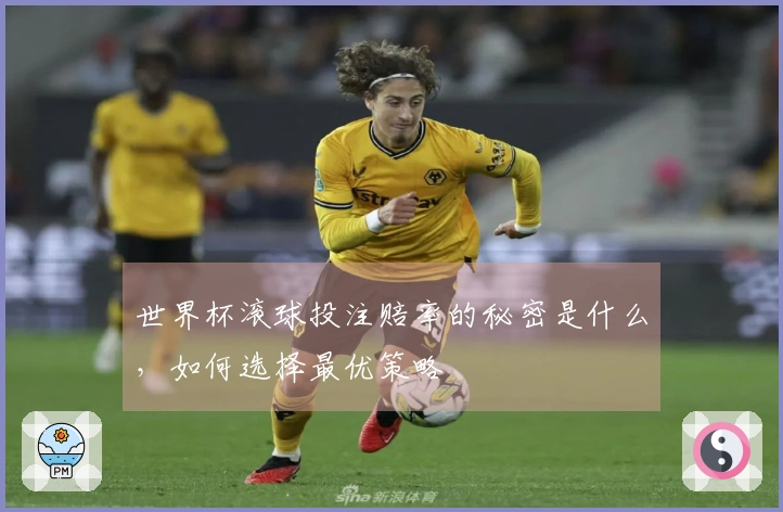 世界杯滚球投注赔率的秘密是什么，如何选择最优策略