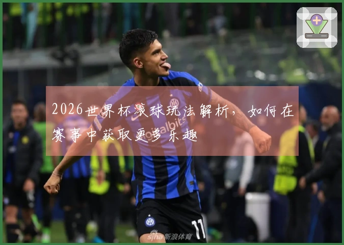 2026世界杯滚球玩法解析，如何在赛事中获取更多乐趣