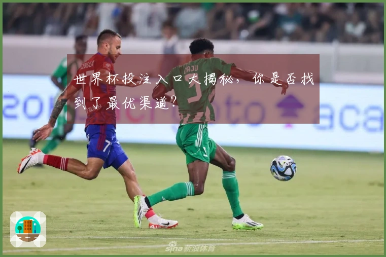 世界杯投注入口大揭秘，你是否找到了最优渠道？