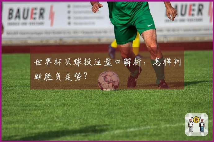 世界杯买球投注盘口解析,怎样判断胜负走势?