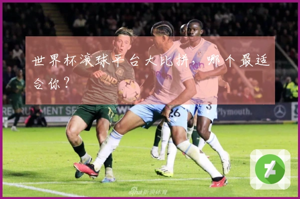 世界杯滚球平台大比拼，哪个最适合你？