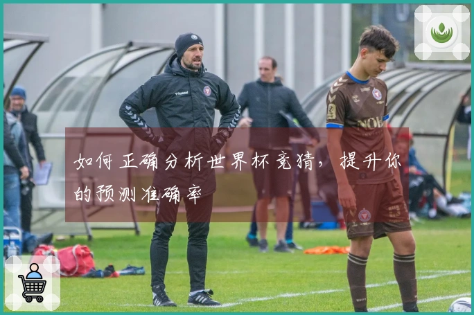 如何正确分析世界杯竞猜，提升你的预测准确率