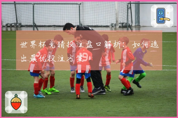 世界杯竞猜投注盘口解析：如何选出最优投注方案