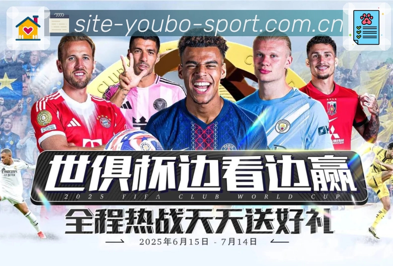 对比视图